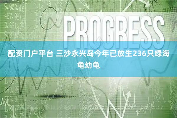 配资门户平台 三沙永兴岛今年已放生236只绿海龟幼龟